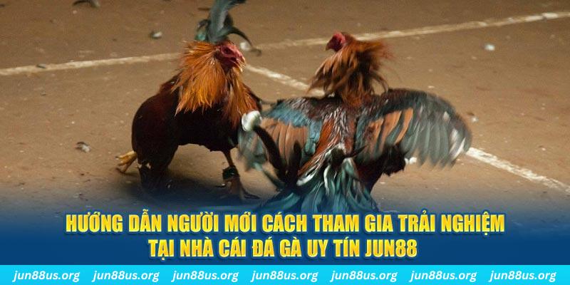 oke9 loi game dot kich ket noi may chu that bai