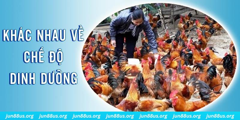 oke9 xổ số miền nam thứ năm hàng tuần