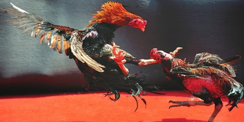 oke9 bắn cá h5 chơi ngay