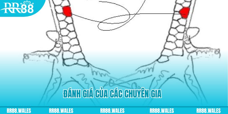 oke9 V8 Game Bài 3d