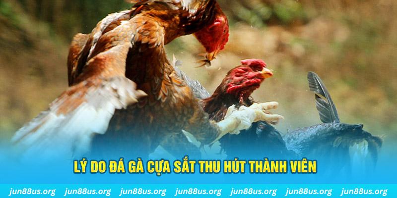 oke9 chiếm slot là gì