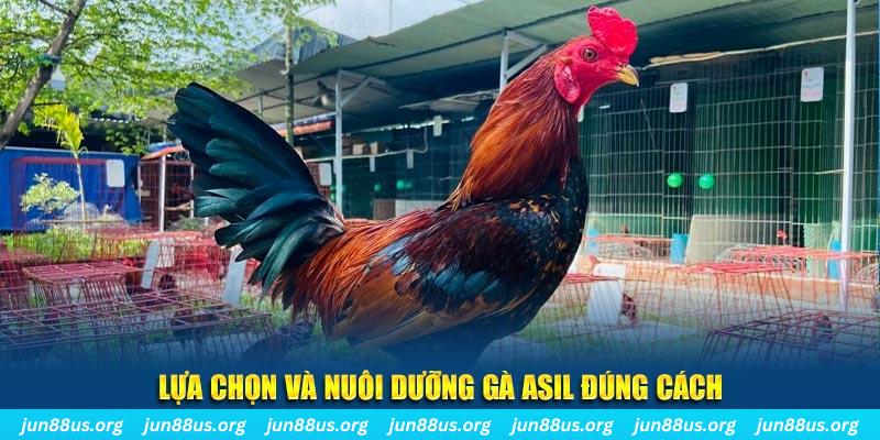 oke9 xổ số đài bắc