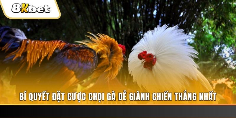 oke9 xổ số thứ hai hàng tuần