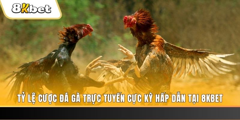 oke9 baccarat online bịp như thế nào