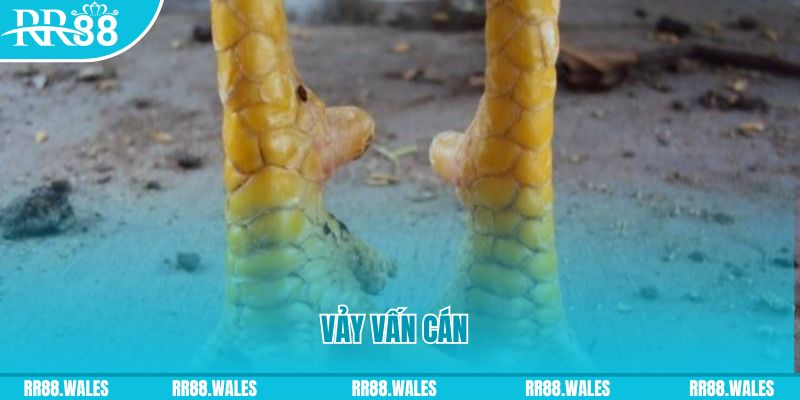 oke9 đăng nhập nổ hũ hôm nay