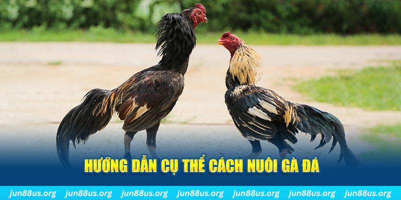 oke9 đăng nhập sòng bạc số 1