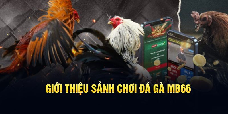 oke9 đăng nhập poker hôm nay